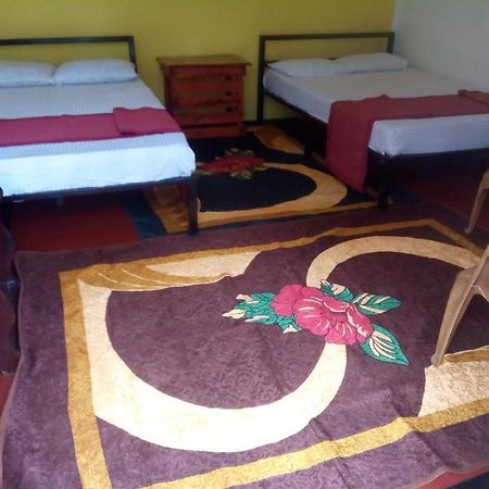 Bed and Breakfast Lily Adam'S Peak Nallathanniya Zewnętrze zdjęcie