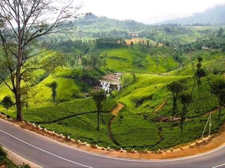 Bed and Breakfast Lily Adam'S Peak Nallathanniya Zewnętrze zdjęcie