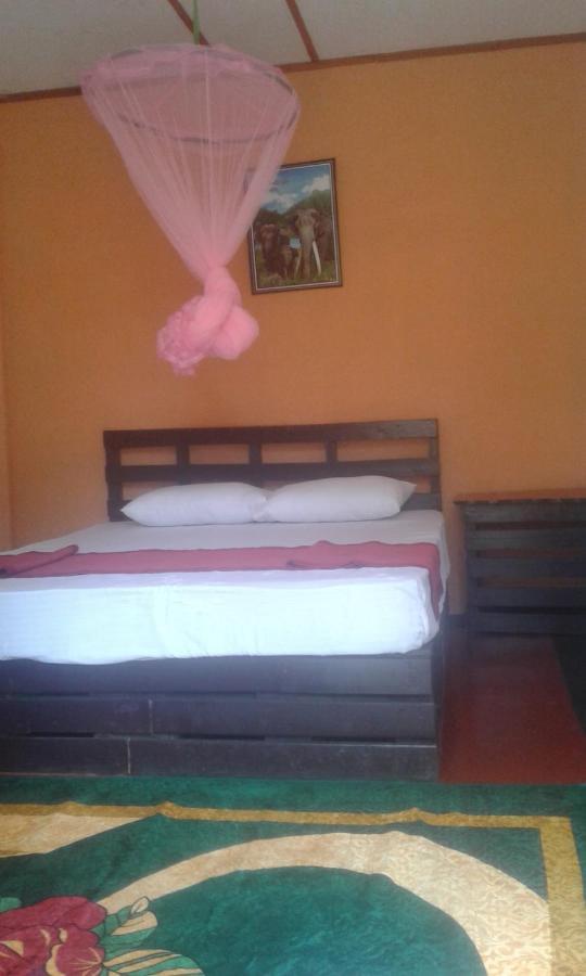 Bed and Breakfast Lily Adam'S Peak Nallathanniya Zewnętrze zdjęcie