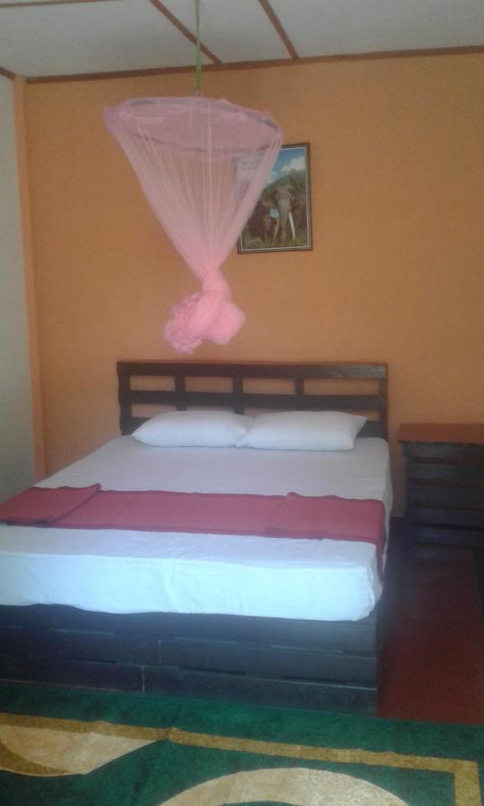 Bed and Breakfast Lily Adam'S Peak Nallathanniya Zewnętrze zdjęcie